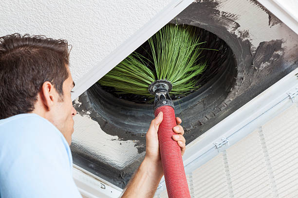 Best Home Air Vent Cleaning  in Dundee, NY